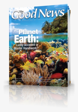 Christ, Deep Water And You - Gigant.pl Brulion Tematyczny A5/80k Kratka Biologia #582482