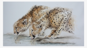 Clear Waters - Bilder Watercolours Elephants At Waterhole #582581