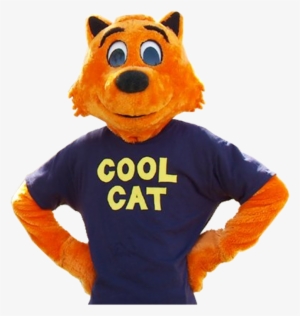 Cool Cat Transparent #582934