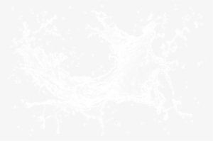 Splash Evoca #583254