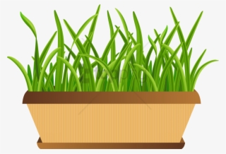 Flowerpot With Grass Transparent Png Clip Art Image - Grass Pot Clipart Png #583711