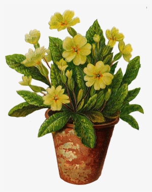 The Flower Pot Flowers Pot Free Download Clip Art Free - Tattoo Of Yellow Primrose #583745