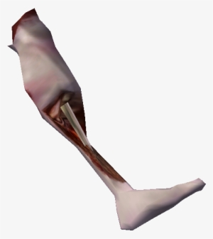 Severed Nord Leg - Leg Png #583848
