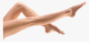 Female Leg Png Pic - Leg .png #583873