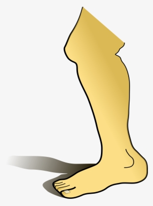 Leg Png #583942