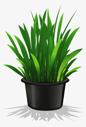 Image Freeuse Flower Pots Clipart - Potted Plant Clip Art Transparent #584214