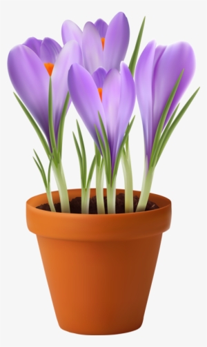 Watercolor Cards - Potted Plants Transparent Clipart #584308