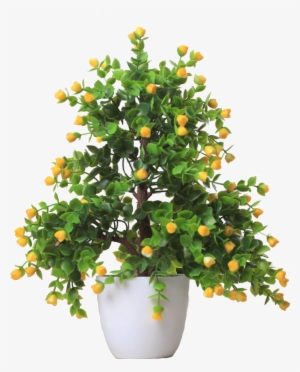 Lightbox Moreview - Flowerpot #584437