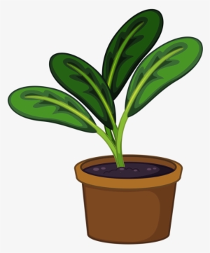Flower Pot Png Garden Pinterest Clip Art - Plant In A Pot Png #584463