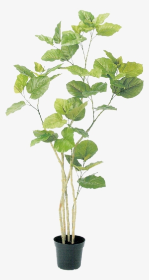 0 Tree Psd, Plant Illustration, Botanical Illustration, - Plants In Pots Photoshop #584534