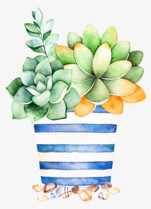 Succulent PNG, Transparent Succulent PNG Image Free Download - PNGkey