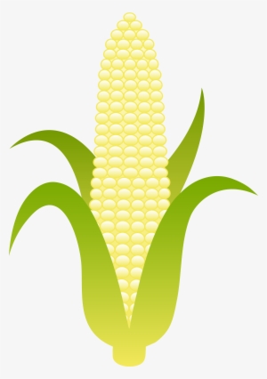 Fruit Clipart, Food Clipart, Fall Clip Art Free, Harvest - Corn Clip Art #584653