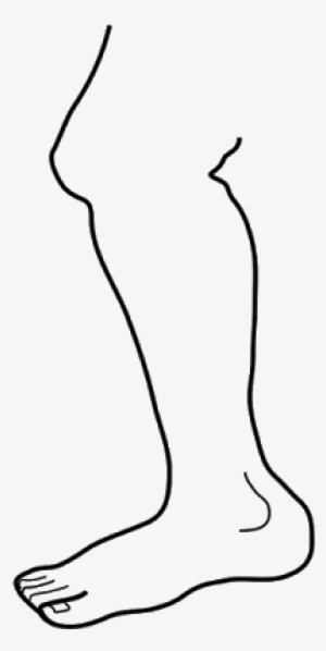 Graphic Black And White Library Panda Free Images Legclipart - Leg Black & White #584907