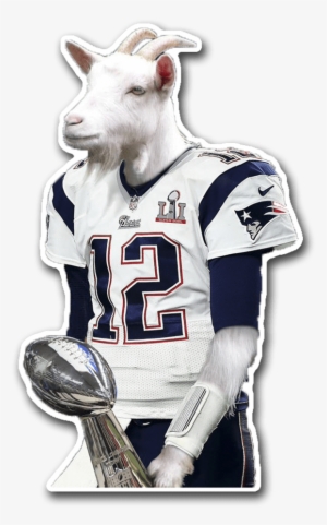 Tom Brady Goat - Wut In Tarnation Meme #584909