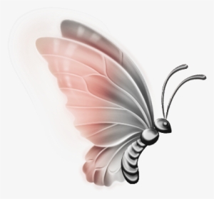 Clipart Butterflies - Butterfly Images Transparent Background #584973