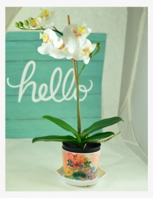 Taiwan Flower Pot #585082