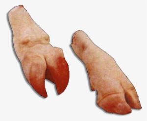 Meat - Fresh Cow Legs Png #585119