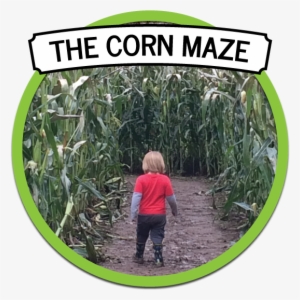 Farm Fresh Apples, Cherries, & Fall Fun At The Apple - Apple Castle #585402 Farm Fresh Apples, Cherries, & Fall Fun At The Apple - Apple Castle #585402