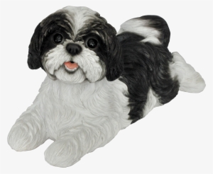 Tap To Expand - Vivid Arts Black And White Shih-tzu - Resin Garden #585819