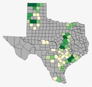 Harvesting Corn - Wheat Grown In Texas #585933 Harvesting Corn - Wheat Grown In Texas #585933