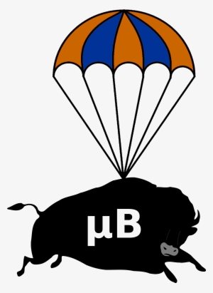 Ub Bison Compress - Custom Grey Buffalo Shower Curtain #586064