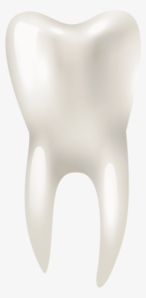 Free Png Tooth Png Images Transparent - Portable Network Graphics #586170