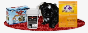 Four Paws, Wee-wee Pads Puppy Housebreaking Pads - #586468