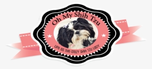 Logox2 - Tibetan Terrier #586815