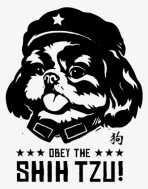 Obey The Shih Tzu #586858