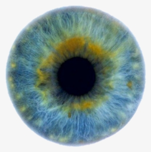 Eye And Cool Image - Blue Green Eyes Png #586962