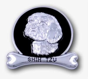 Shih Tzu - Labrador Retriever #587130