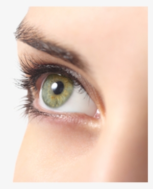 Five Trendy Makeup Colours For Green Eyes - Light Green Eye Lenses #587432