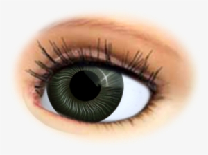 Doll Eyes - Eye #587663