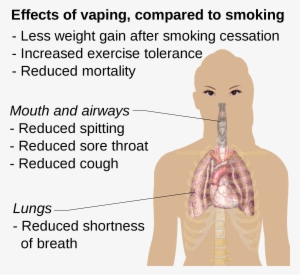 Effects Of Vaping Compared To Smoking - Human Digestive System #587994