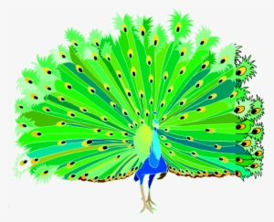 Peacock Clipart - Peacock Clipart Png Hd #588407