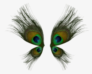 Peacock Wings Png By Valkiria Stock - Peacock Wings #588425