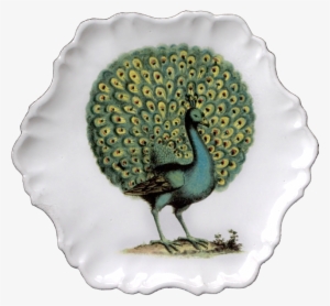 John Derian For Astier De Villatte Peacock Plate - #588569
