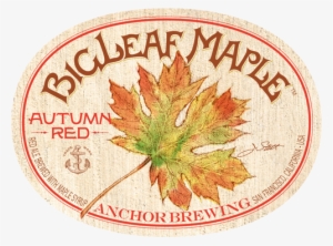 By Dave Burkhart, - Big Leaf Maple In Fall #588676