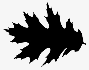Free Download - Leaf Silhouette Clipart #588753