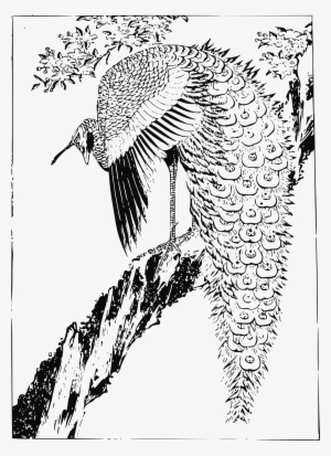 , , - Clip Art #588956