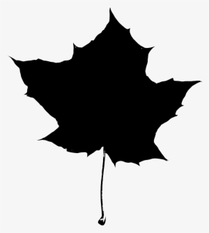 Maple Leaf Clipart Big Leaf - Maple Leaf Silhouette Png #588957