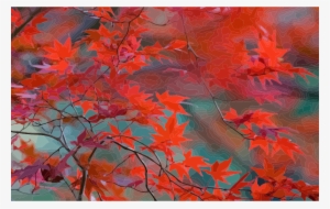 Medium Image - Autumn Leaf Color #589052