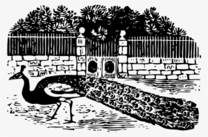 Peacock At The Gate Png Clip Arts #589094