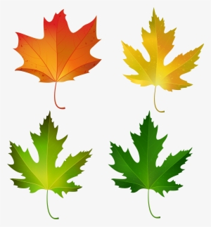 Maple Leaf #589121