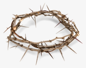Download Crown Of Thorns Png Transparent Crown Of Thorns Png Image Free Download Pngkey