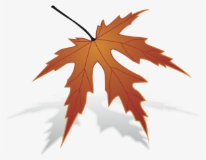 Maple Leaf Clipart Big Leaf - Maple #589371