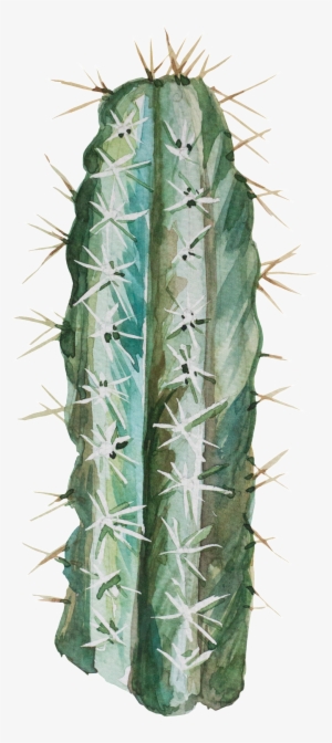 Transparent For Hand Painted Desert Plants - Portable Network Graphics #589418