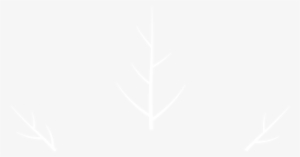 The Outline, Seen In The Most Recent Version Of This - Johns Hopkins Logo White #589465