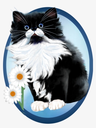 Little Tuxedo Kitten And White Fur Matching Daisy - Gatinho E Margarida Regata Com Estampa Completa #5800305