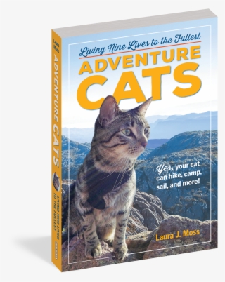 Adventure Cats: Living Nine Lives To The Fullest #5800357